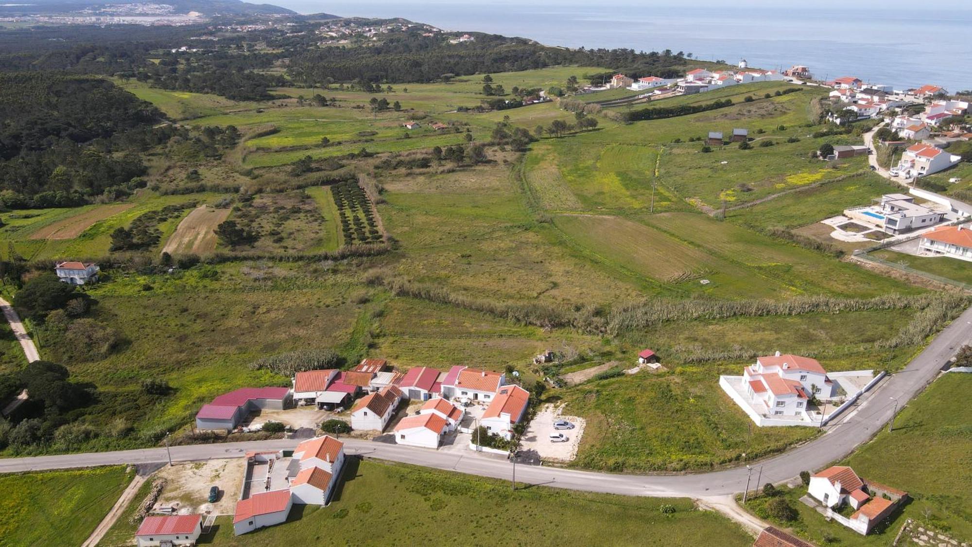 Casas Com Amoras In Serra Da Pescaria Famalicão Εξωτερικό φωτογραφία